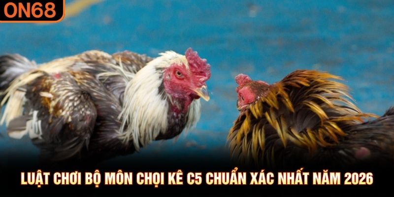 Luật chơi bộ môn chọi kê C5 chuẩn xác nhất năm 2026